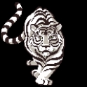 snyamhuno's avatar
