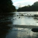 gabyaguinaga's avatar