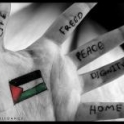 freepalestine91's avatar