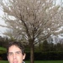 tenteo's avatar