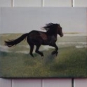 Epona's avatar