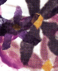 thumbnail_featsmall1